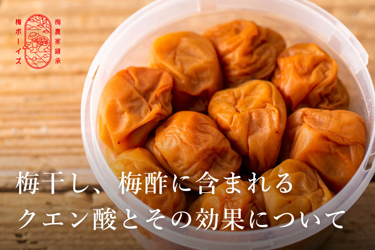 梅干し、梅酢に含まれるクエン酸とその効果について