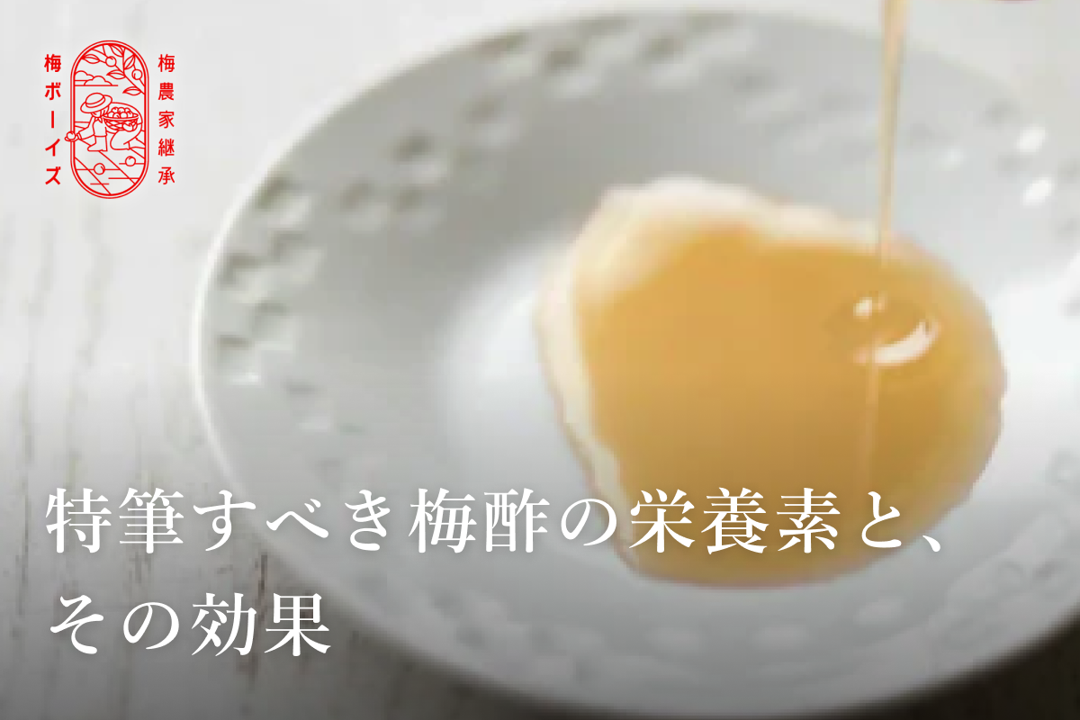 特筆すべき梅酢の栄養素と、その効果