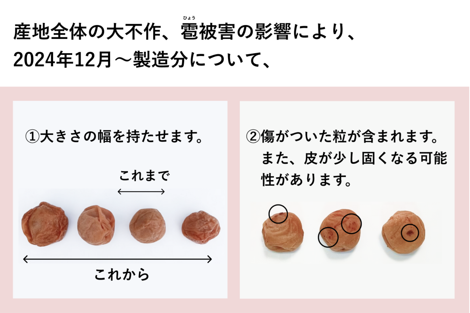 【無添加】梅と紫蘇