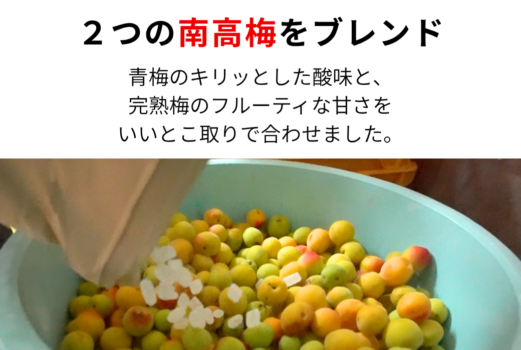 無添加 梅シロップ