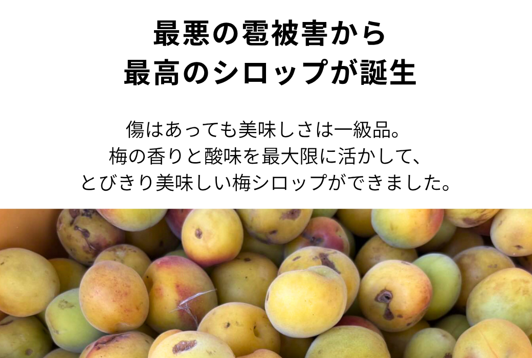 無添加 梅シロップ