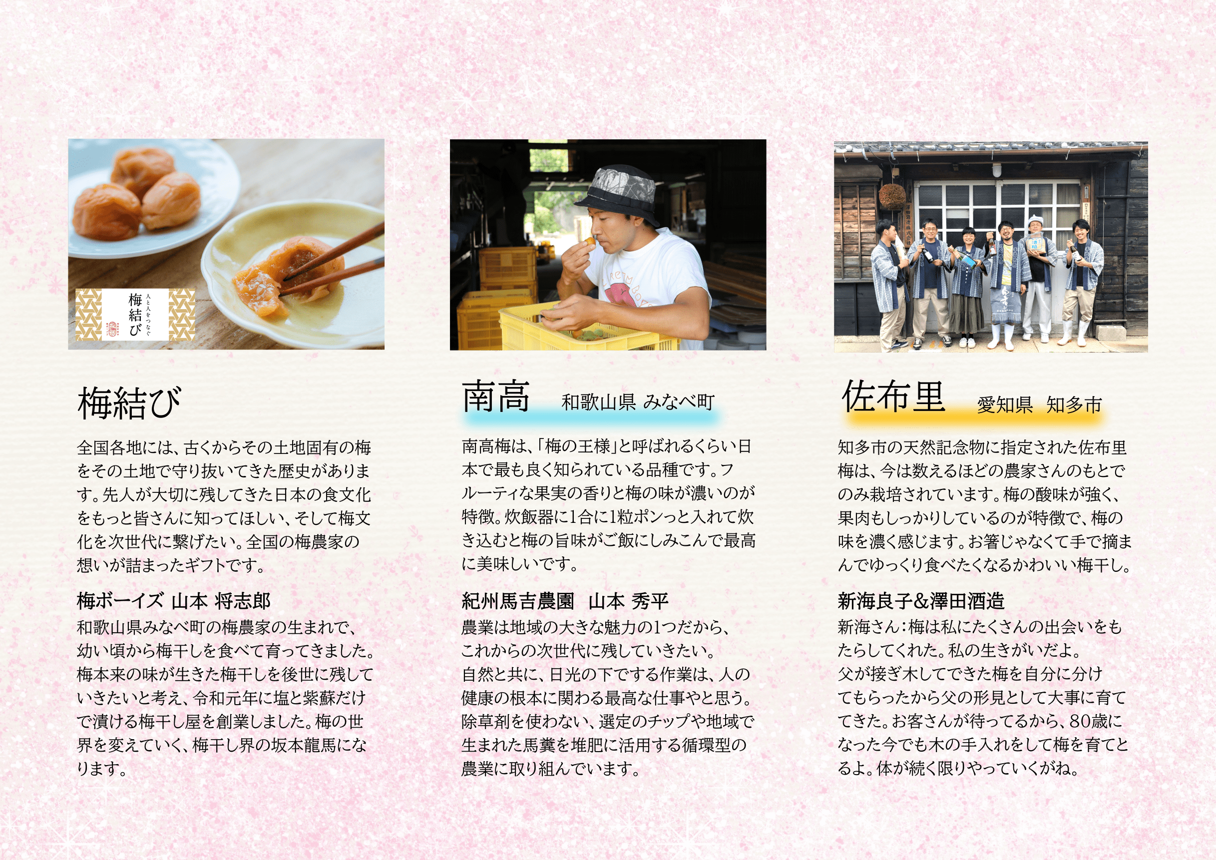 【母の日】梅結び「全国の梅干し食べ比べ」送料無料