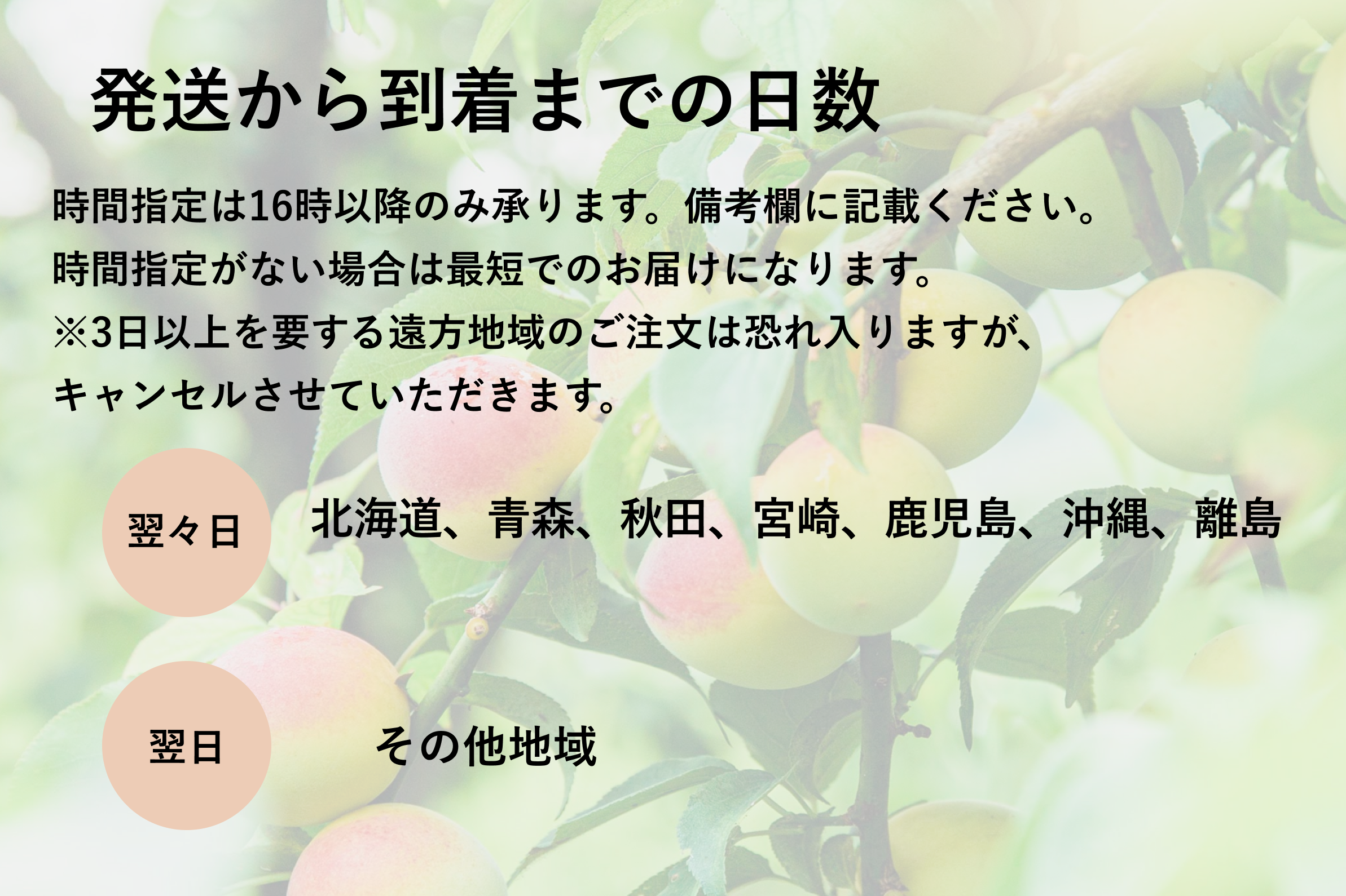 超完熟南高梅 前半日程
