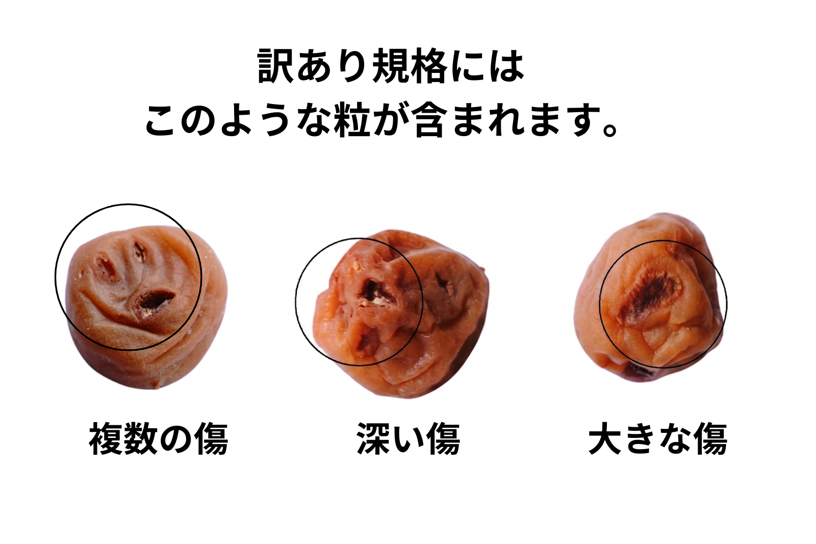 小梅くん