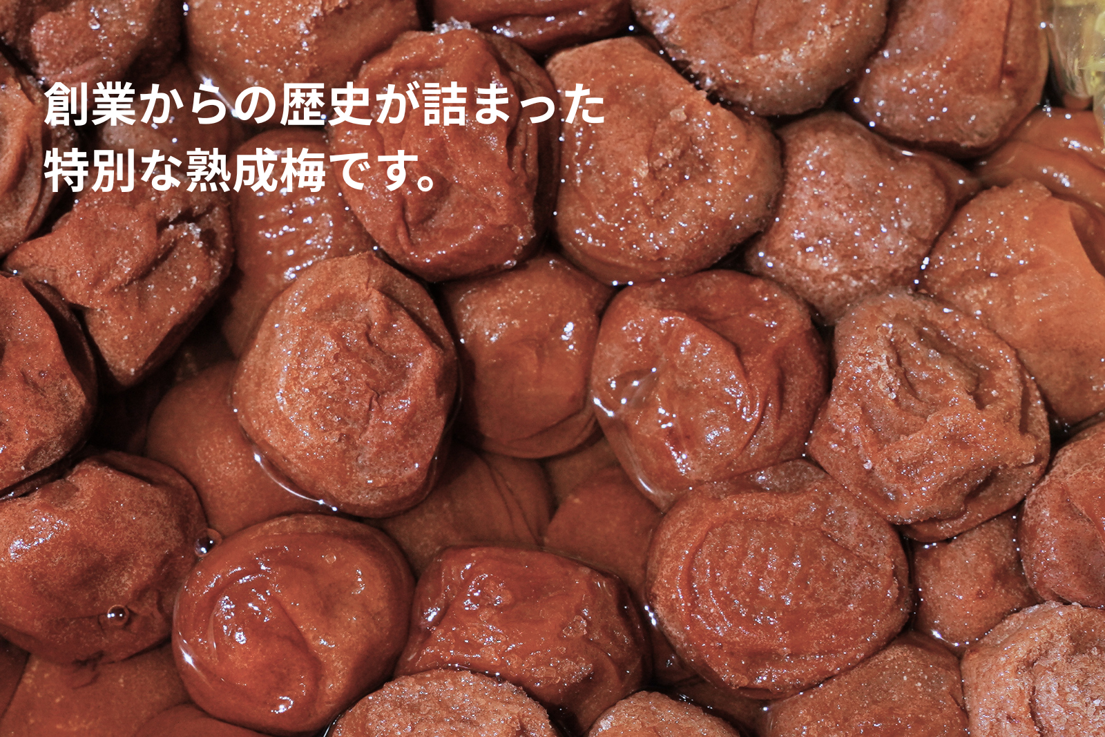【創業7周年記念】七年熟成梅干し三粒ギフト