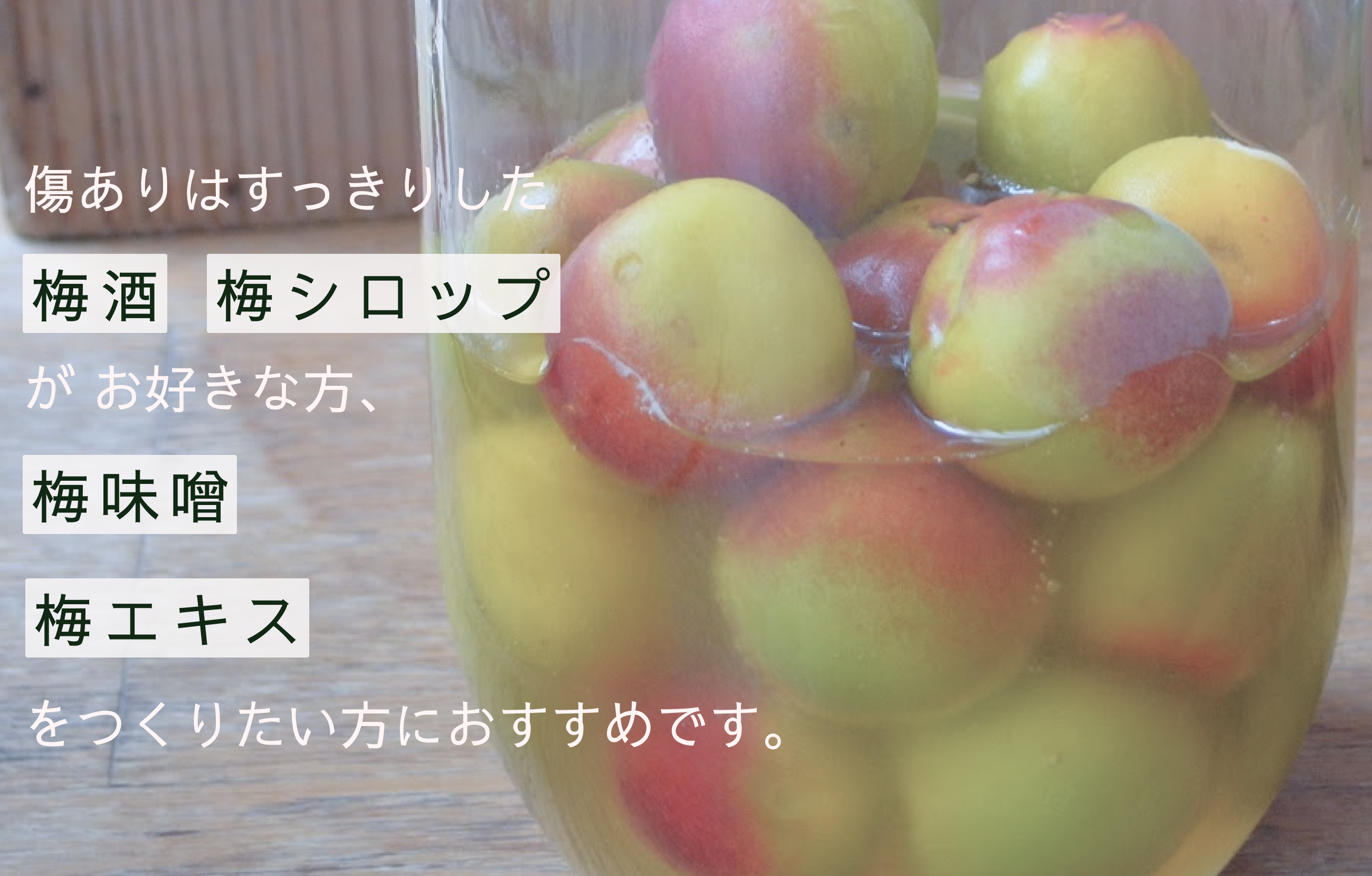 樹上南高梅(青梅・紀州南高梅:1kg〜10kg)