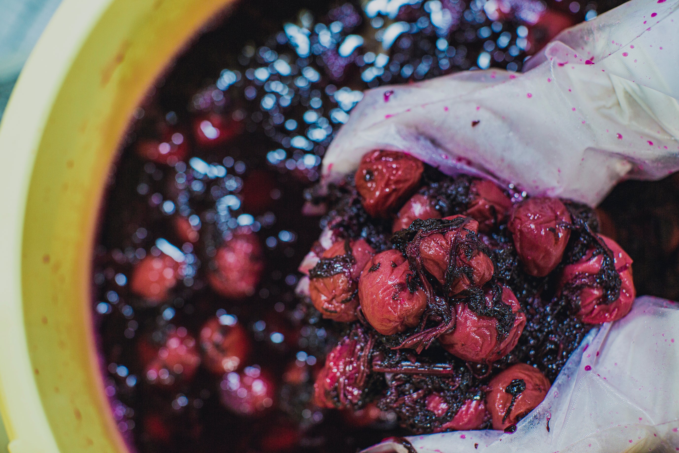 【終売】梅紫蘇