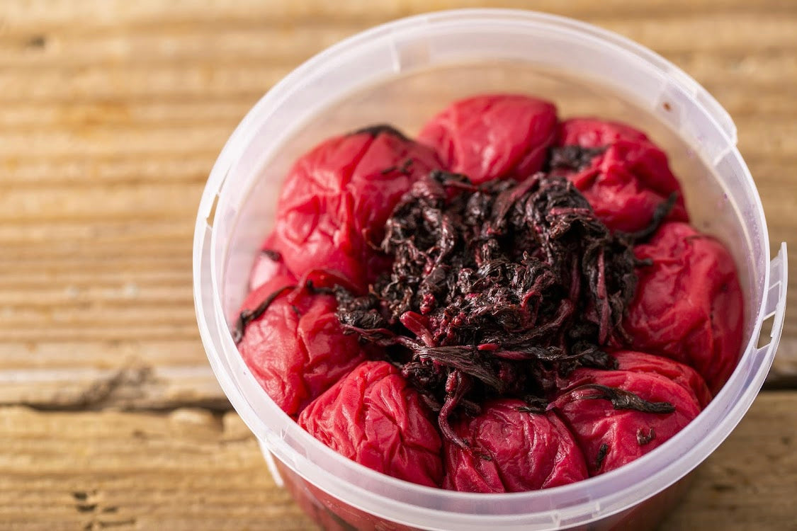 【贈答】"シワが寄るまで共に健康で" 食卓を彩る紅白ギフト