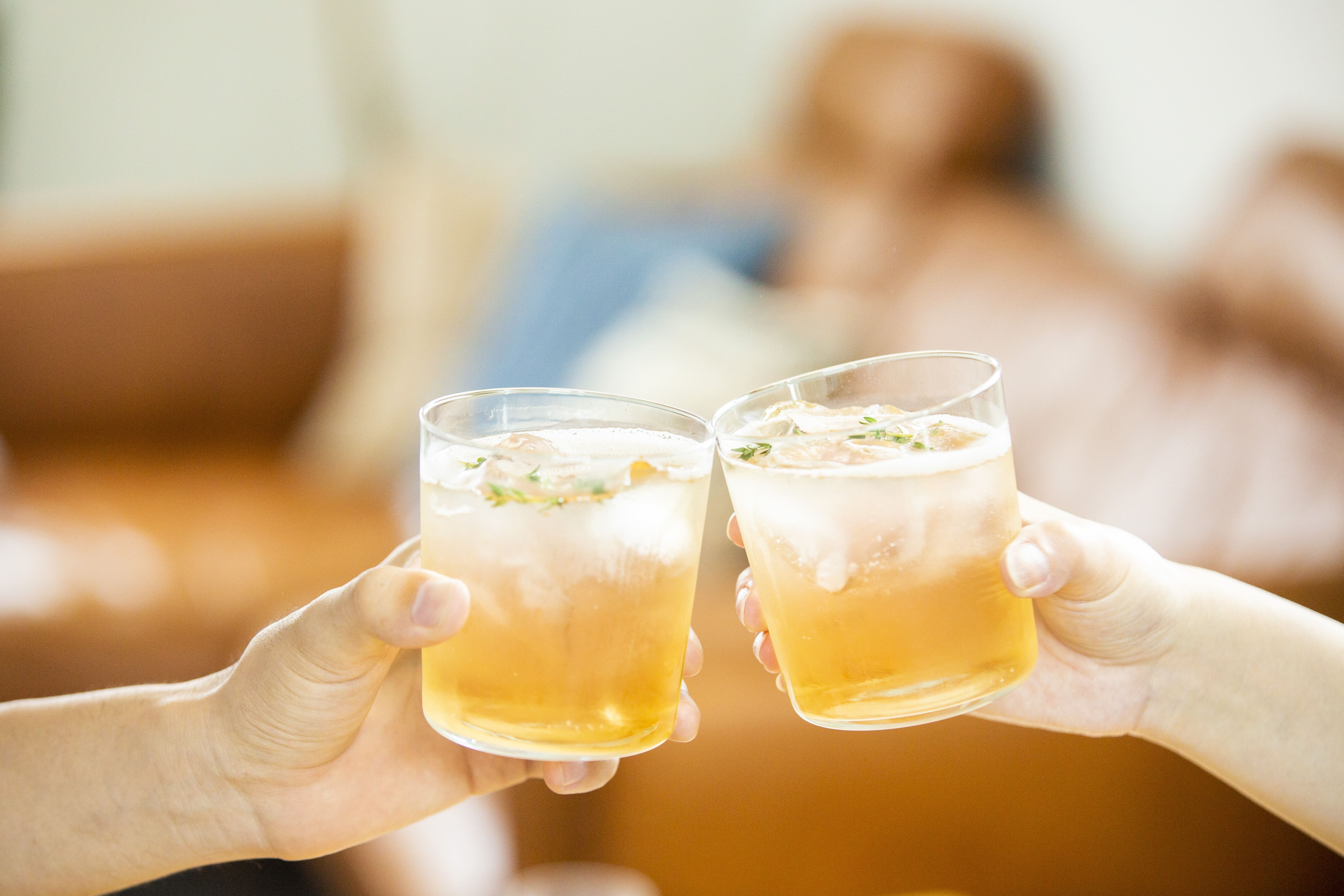 完熟南高梅VODKA