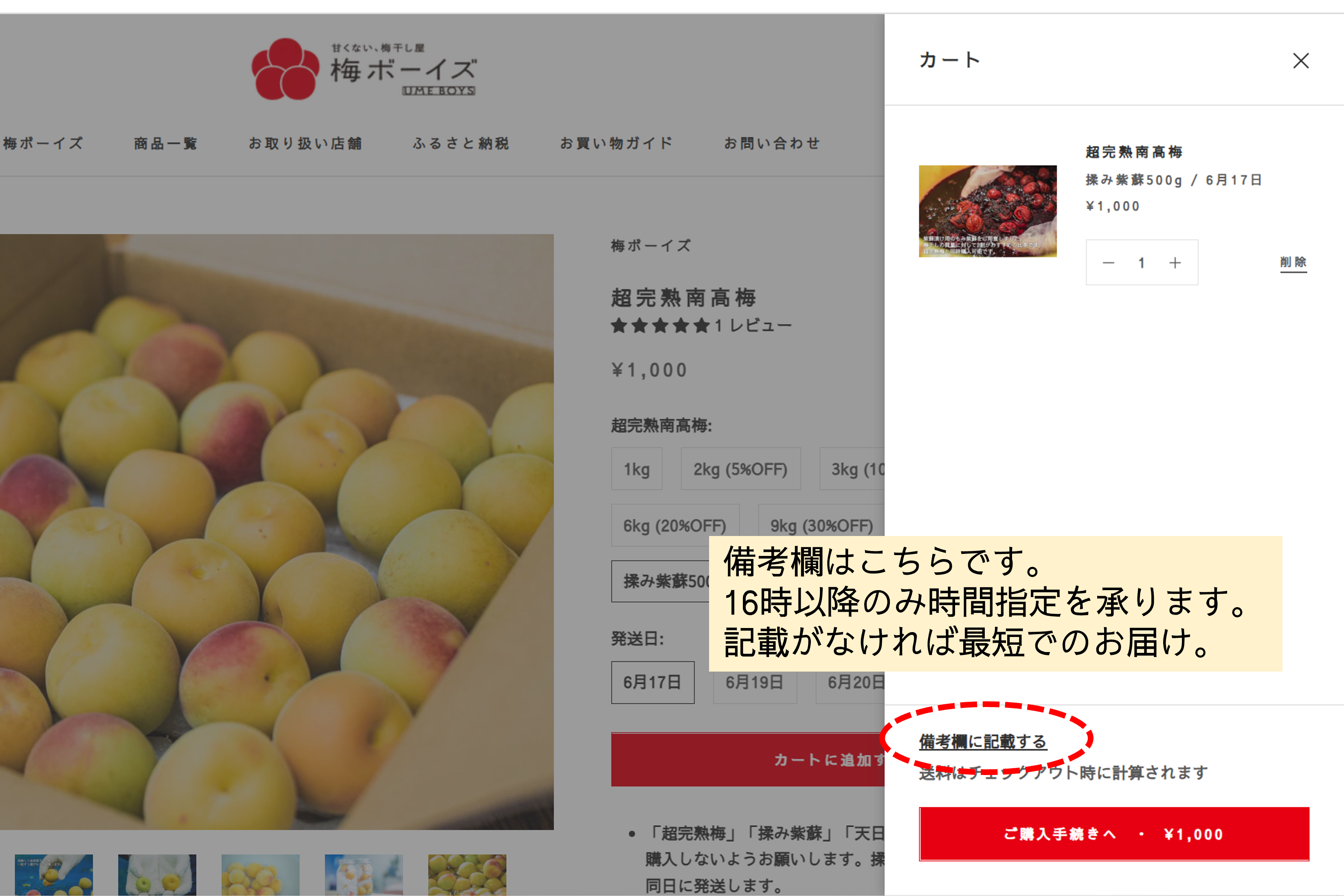 樹上南高梅(青梅・紀州南高梅:1kg〜10kg)