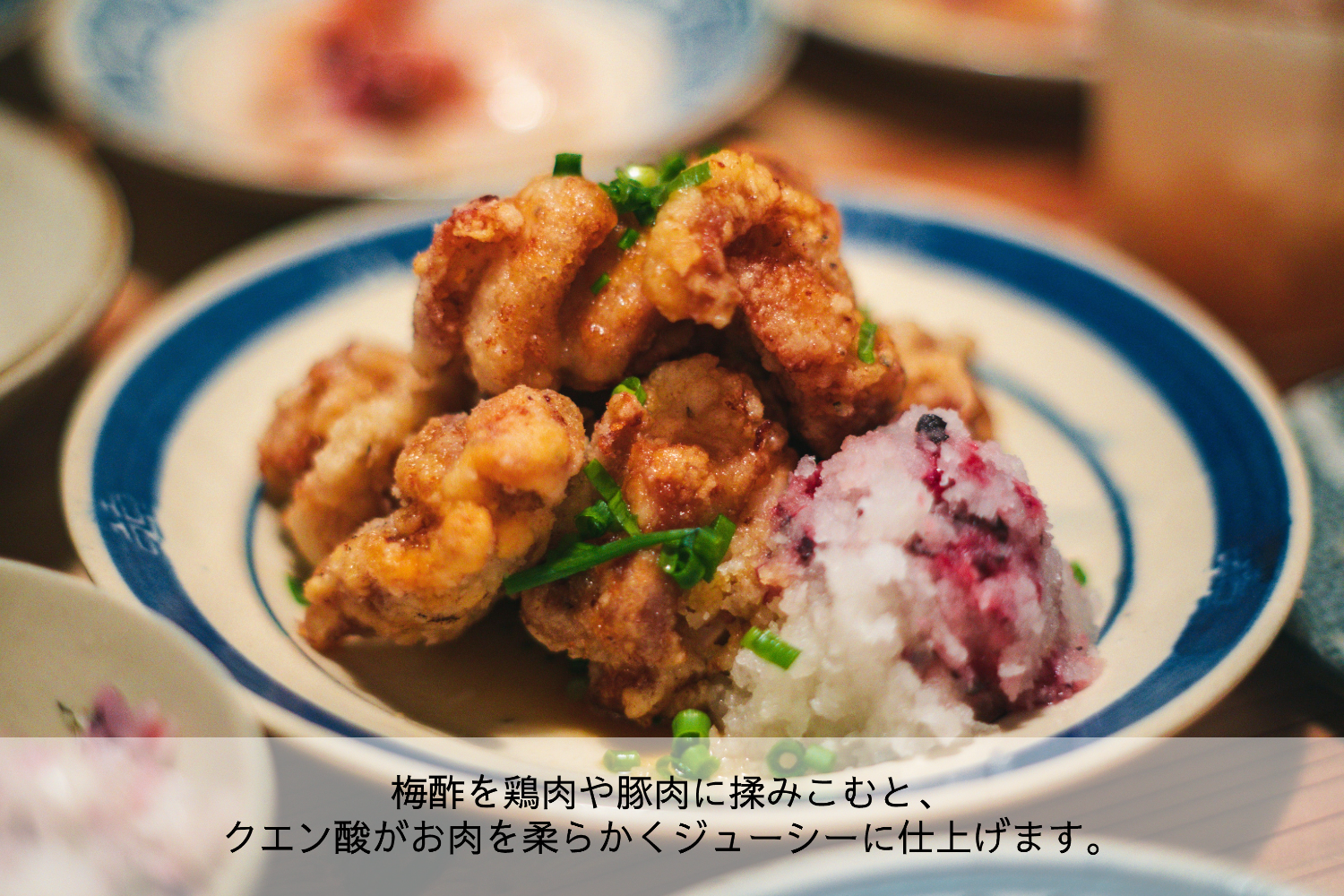 【送料無料(代引きは対象外)】無添加梅肉チューブ・梅酢のお試しセット