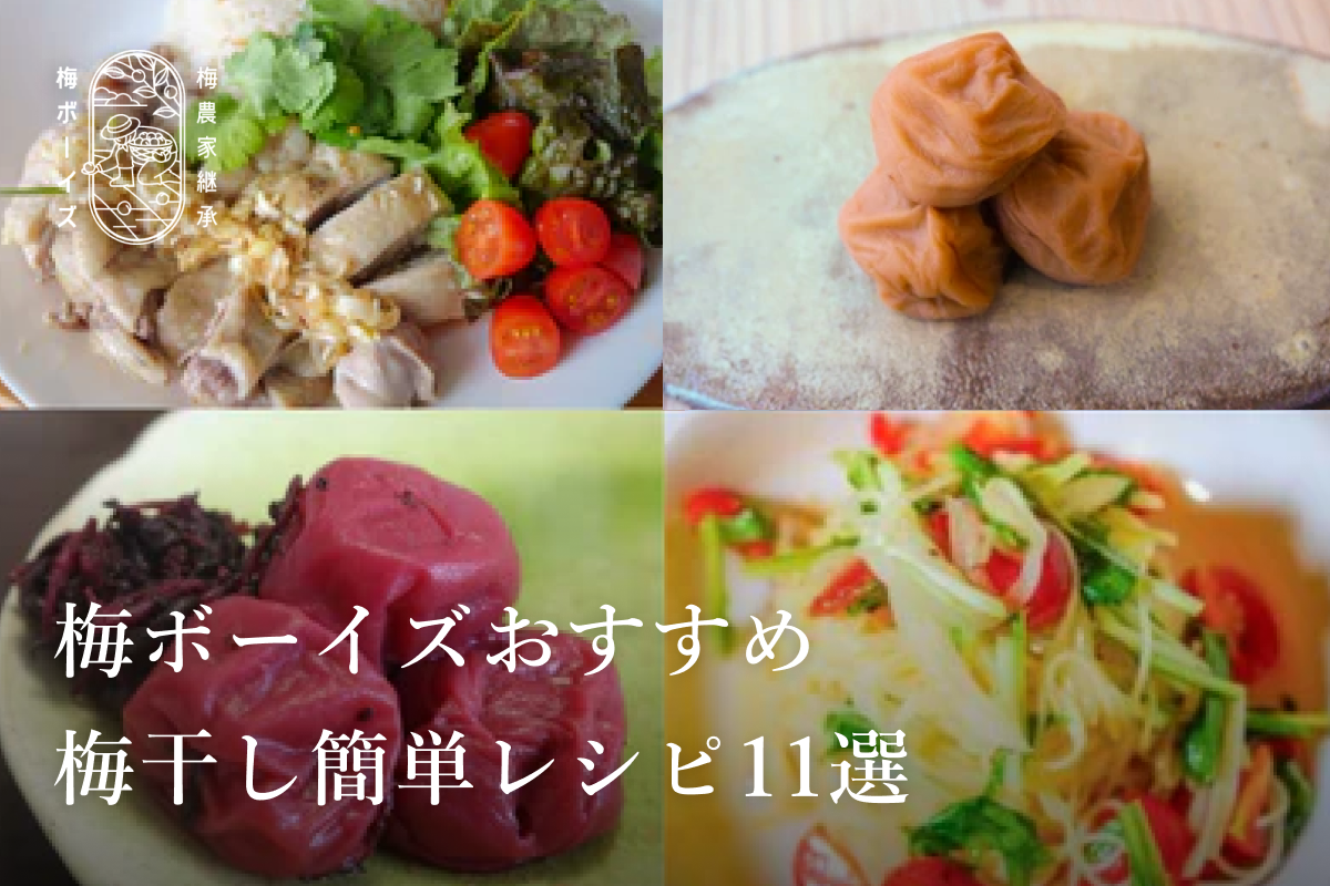【梅ボーイズおすすめ】梅干し簡単レシピ11選｜おかずやご飯、おつまみまで一挙紹介。