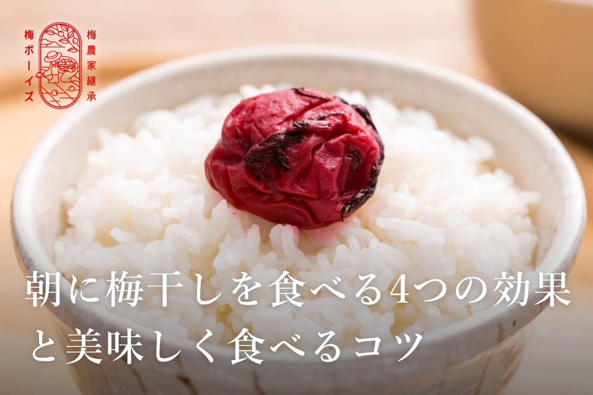 朝に梅干しを食べる4つの効果と、美味しく食べるコツ