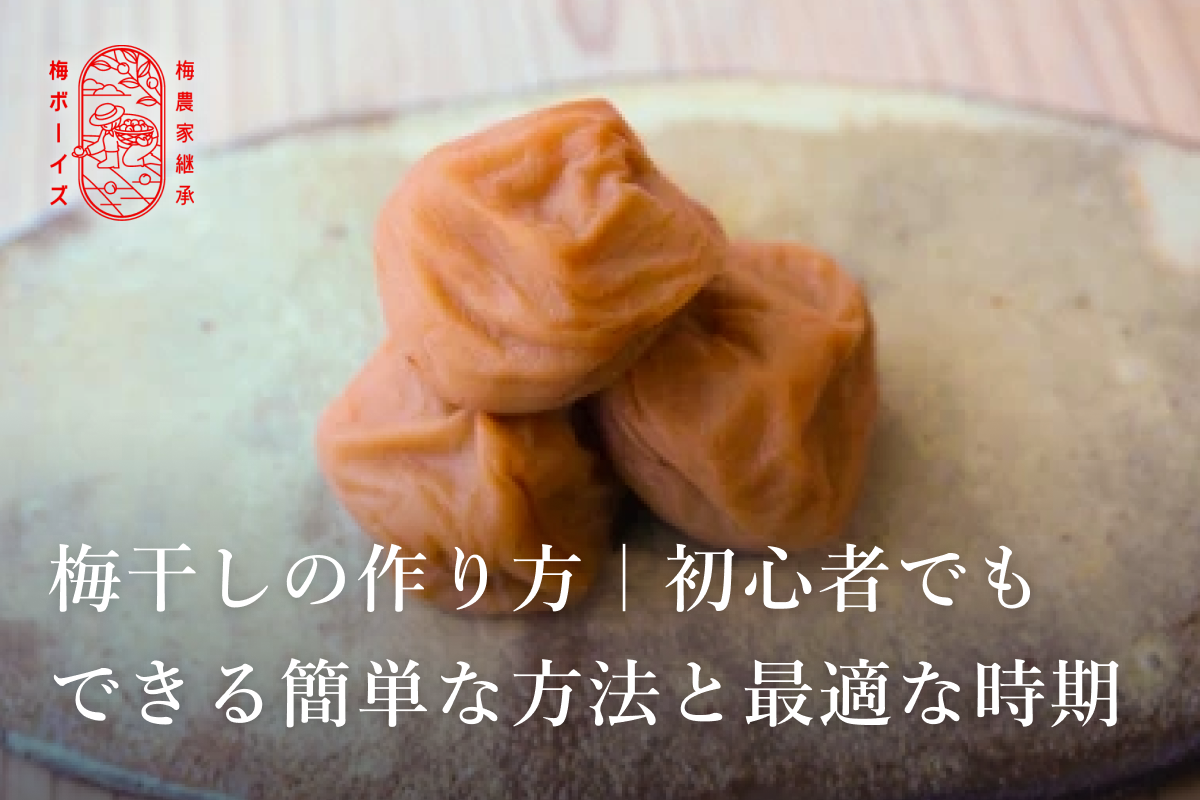 梅干しの作り方｜初心者でもできる簡単な方法と最適な時期