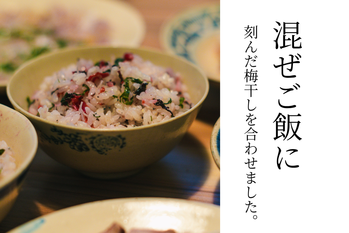 【無添加】訳あり 梅と紫蘇