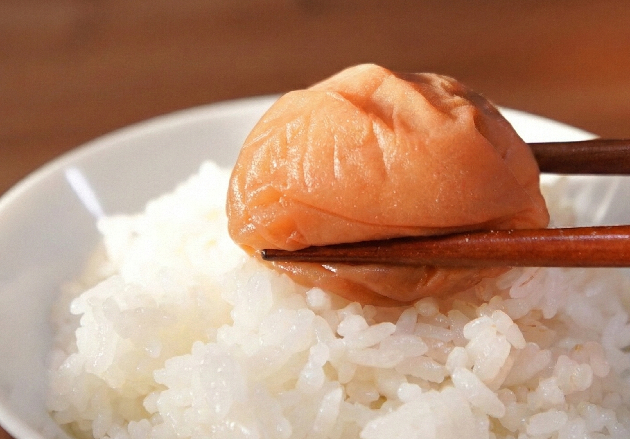 【無添加】梅と塩