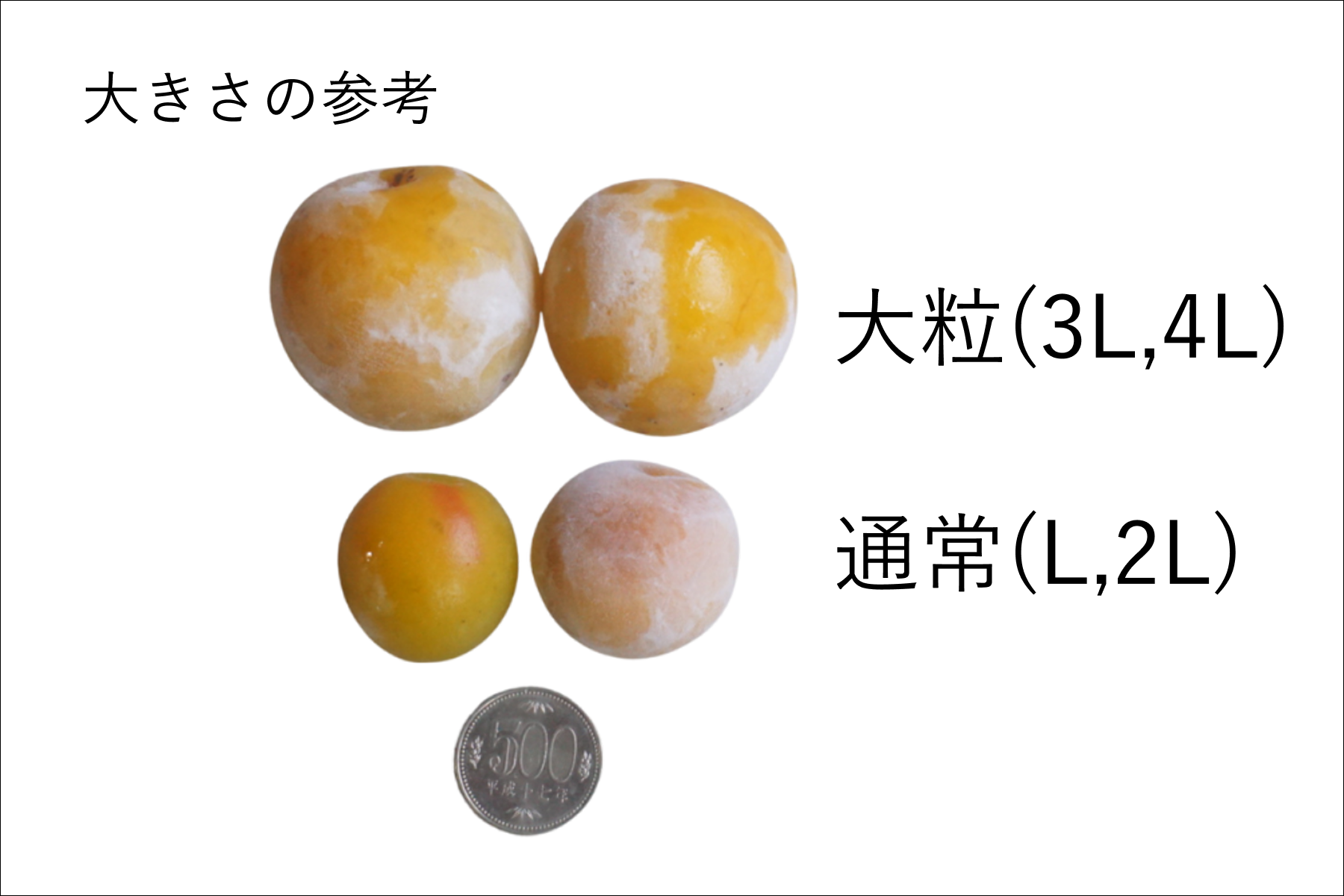【冷凍】超完熟南高梅