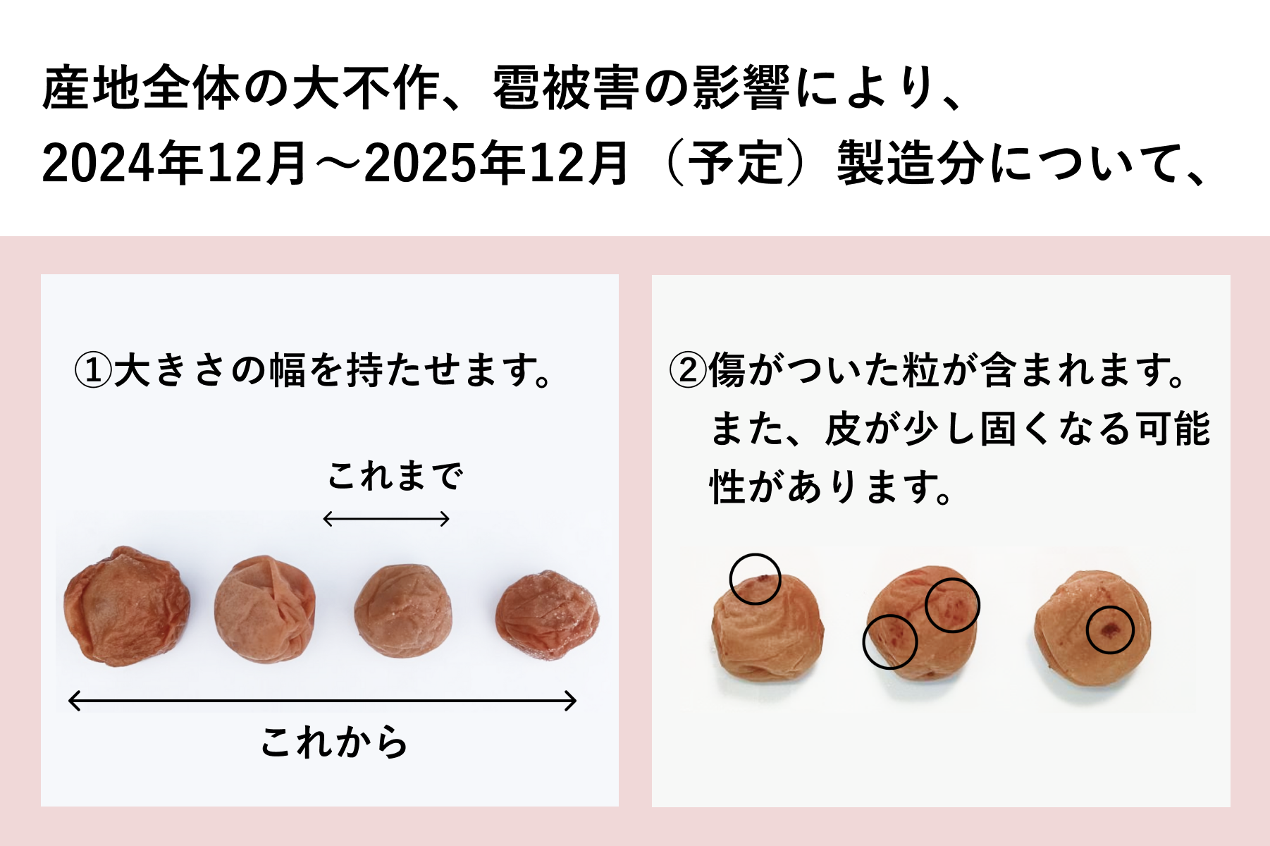 【お歳暮・お年賀】梅干し2種と梅干し屋が大好きなお米