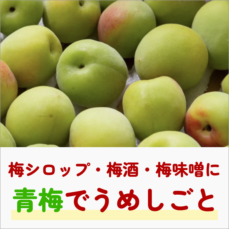 青梅