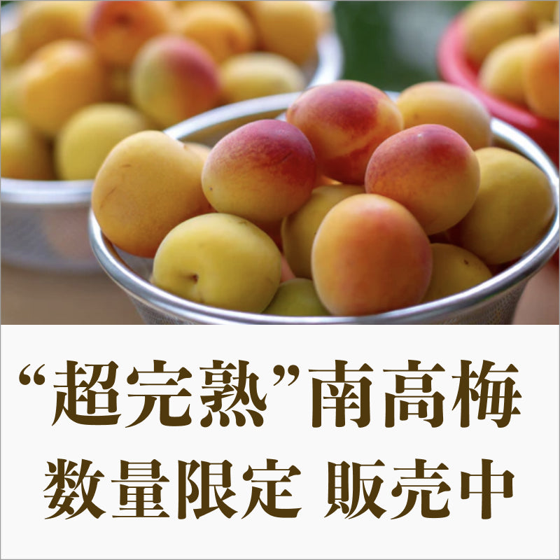 超完熟南高梅