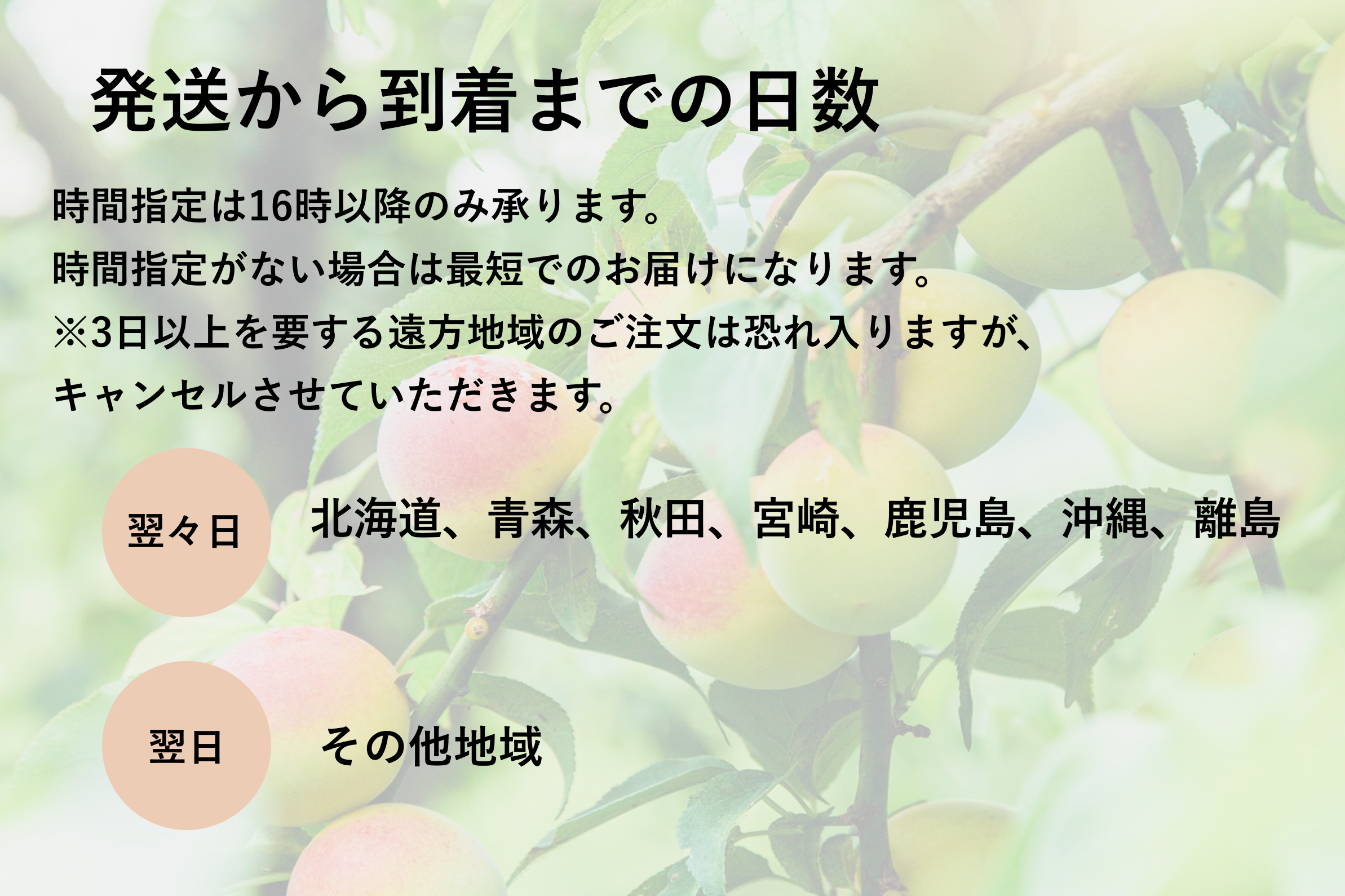 前半日程】超完熟南高梅