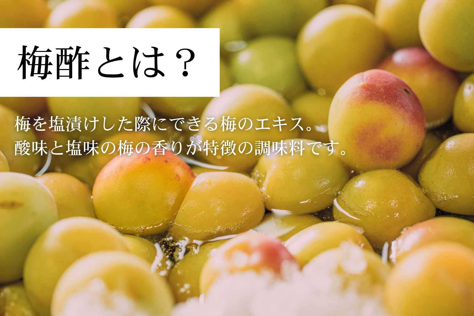完熟南高梅の白梅酢