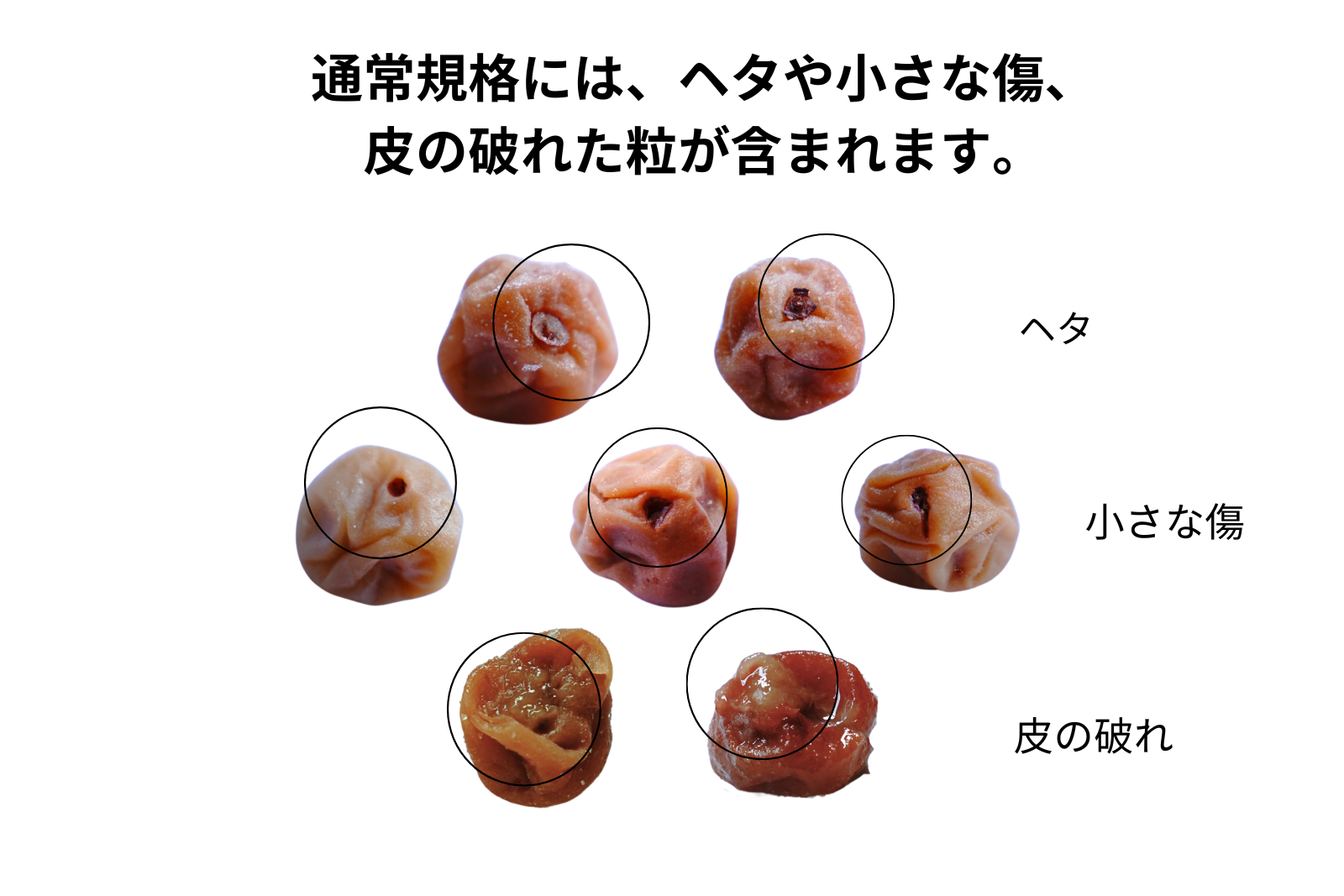 小梅くん