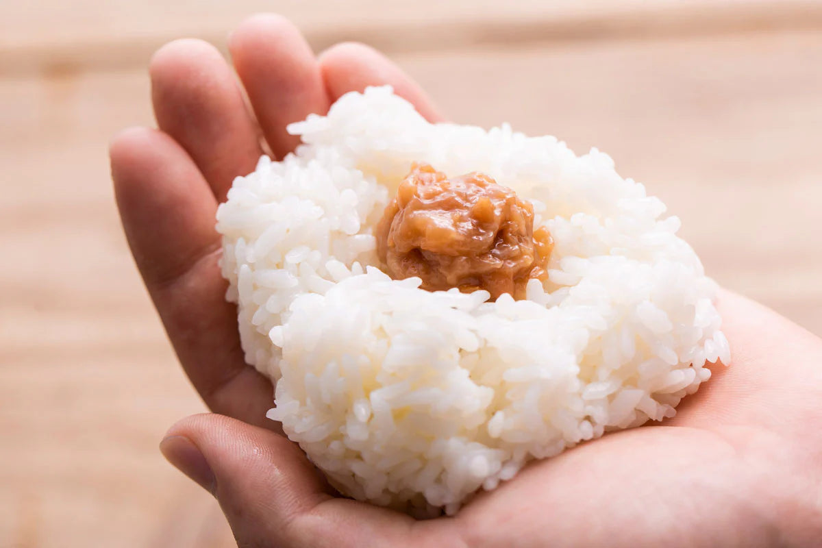 【定期便】梅と塩 チューブ