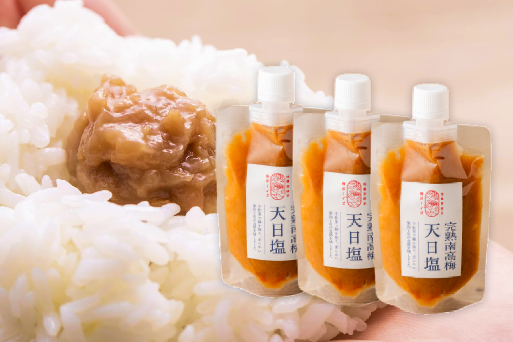 【定期便】梅と塩 チューブ