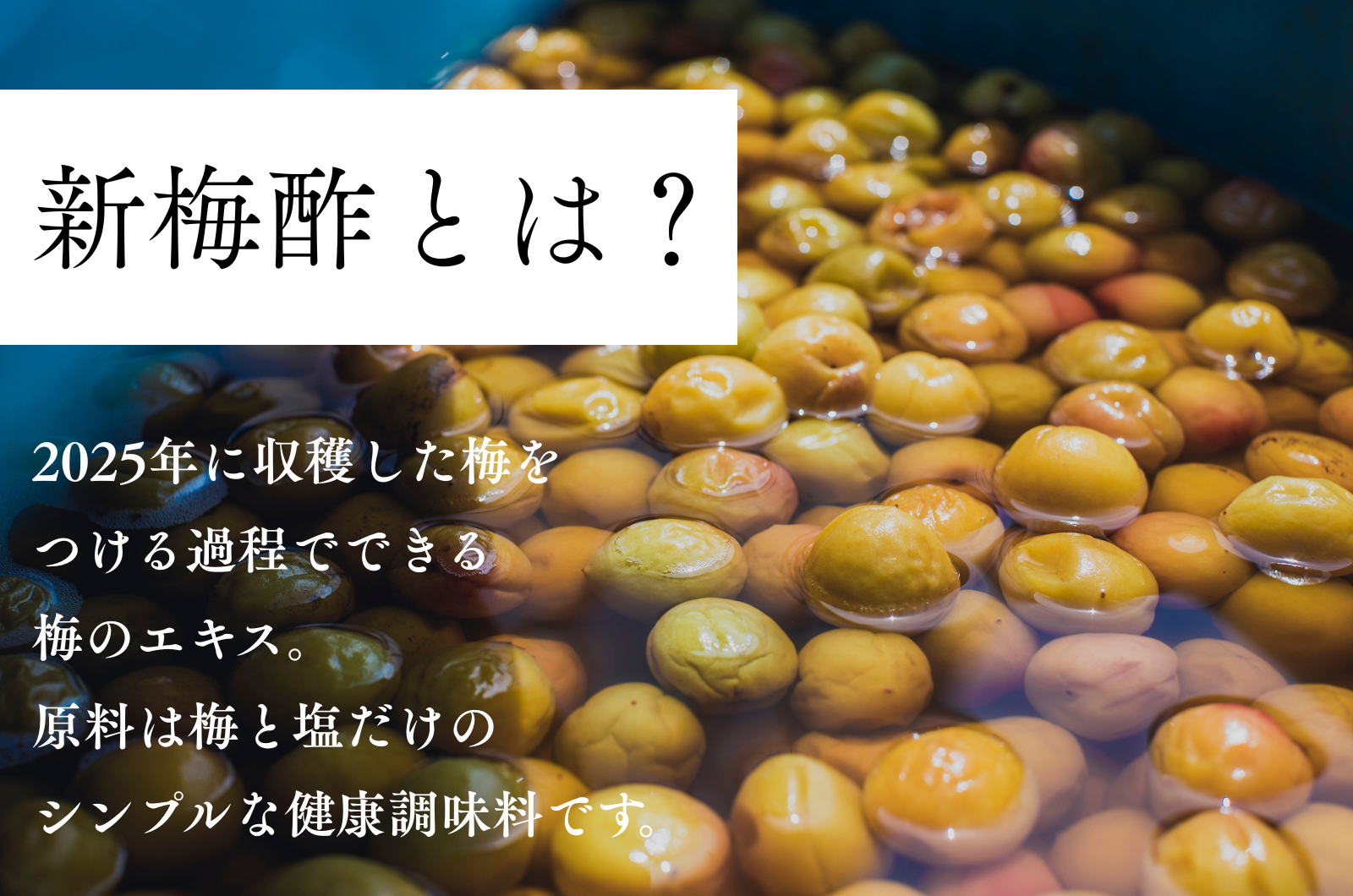 完熟南高梅の白梅酢