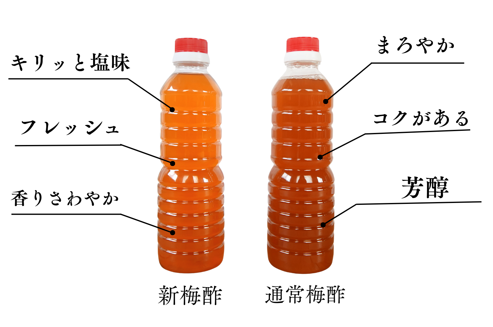 完熟南高梅の白梅酢