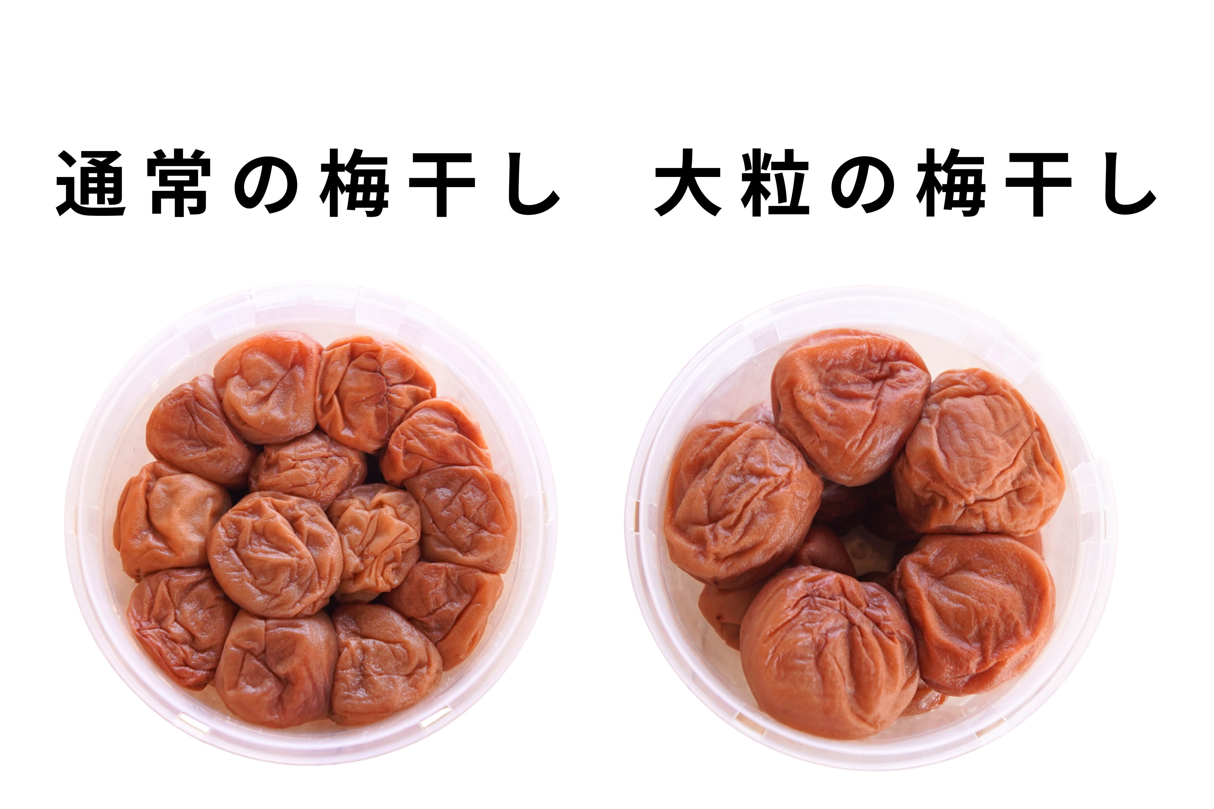 【無添加】梅と塩