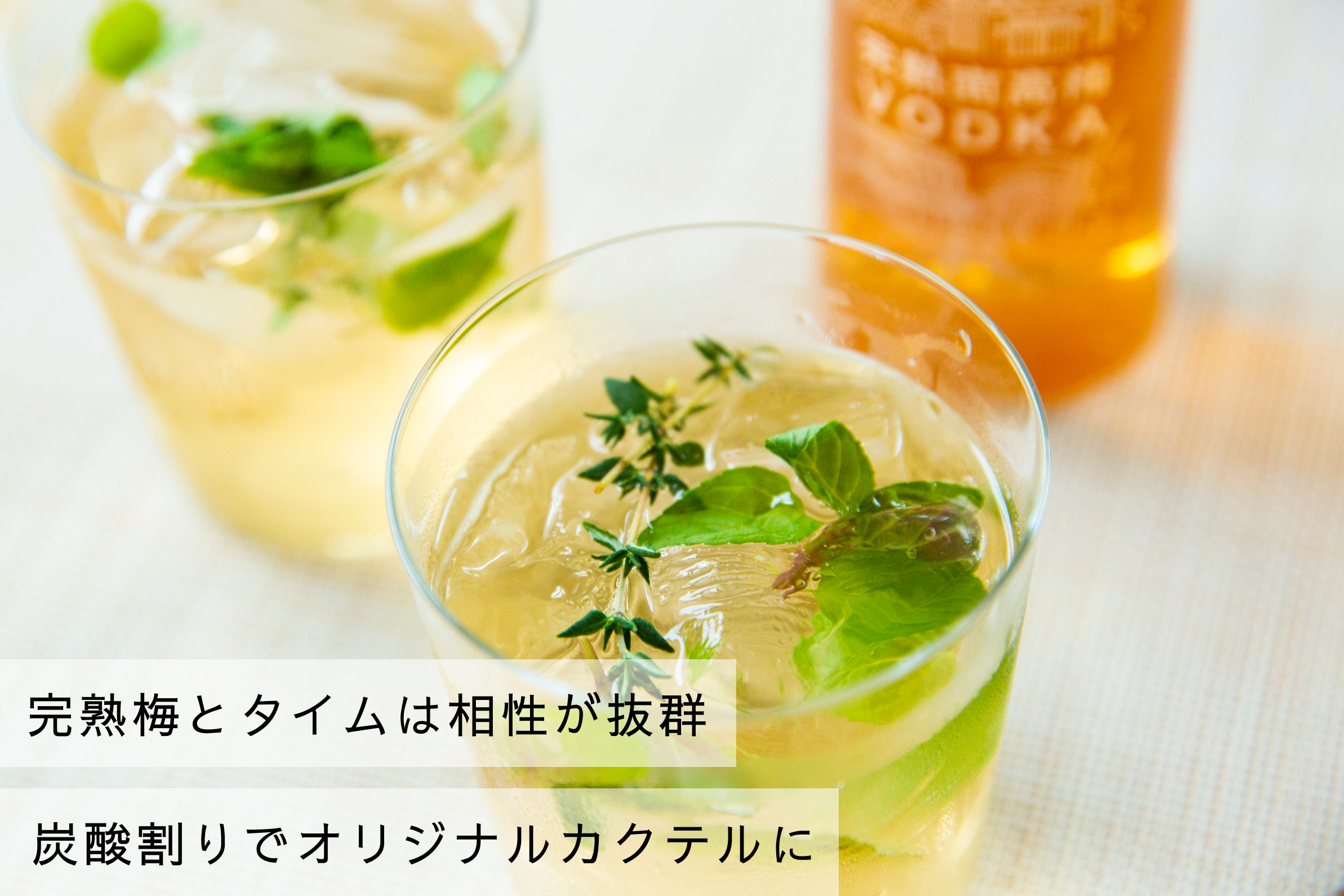 【お歳暮・お年賀】梅干し2種と完熟南高梅VODKA